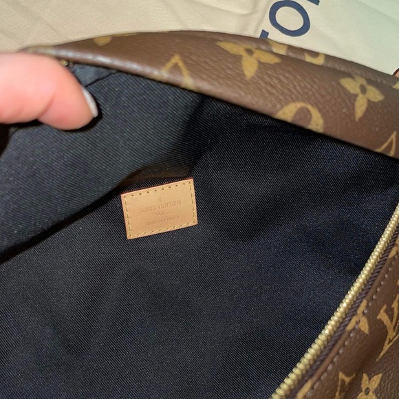 Louis Vuitton Monogram Bumbag - Picture 13 of 16